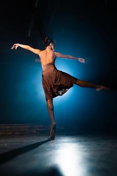 Graceful ballerina in dress dancing elements of classical or modern ballet in dark with floodlight backlight. Smoke on black background. Art concept. High quality photo