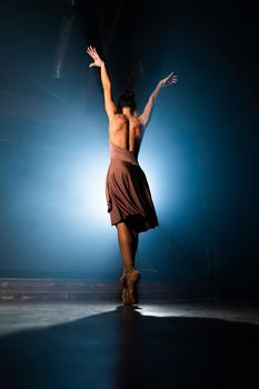 Graceful ballerina in dress dancing elements of classical or modern ballet in dark with floodlight backlight. Smoke on black background. Art concept. High quality photo