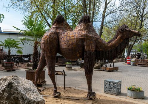 Stare Mesto, Czech Republic 29 April 2022 KOVOZOO original exposition with animals and technology from recycled old scrap, exhibition of historical technology Statue of a camel made of metal waste