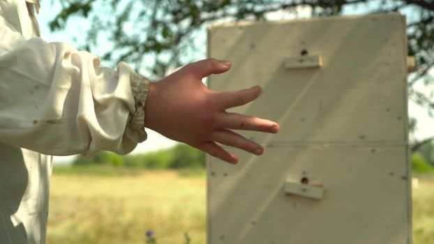 A beekeeper with a swollen palm due to a bee sting. A young man in the field against the background of a beehive in the apiary. A man in a white suit. Hand close up. 4k