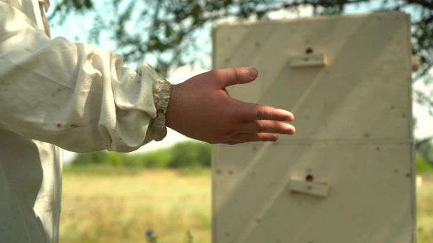 A beekeeper with a swollen palm due to a bee sting. A young man in the field against the background of a beehive in the apiary. A man in a white suit. Hand close up. 4k