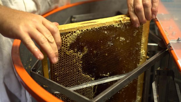 The honeycomb frame is placed in the honey extractor to extract the honey. Summer collection of honey by the beekeeper. 4k