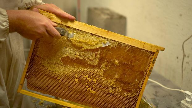 The beekeeper cuts the sealed combs with a special knife. A man prepares a frame with honeycombs to extract honey. Close-up hands. 4k