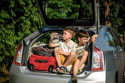 Two cute boys sitting in a car trunk before going on vacations with their parents. Two kids looking forward for a road trip or travel. Summer break at school. Family travel by car.