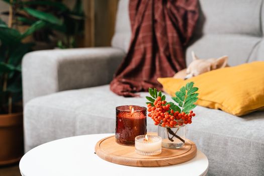 Still life, candle, rowan berry and pumpkin in the living room on a table, home decor in a cozy house. Autumn weekend concept, blanket and plaid. Fallen leaves and dog puppy on couch