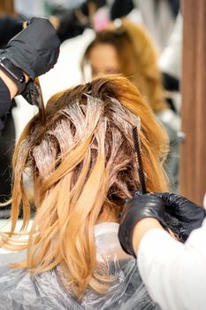 Back view of a female hairdresser in gloves coloring hair of redhead young woman with light or white dye in a beauty salon