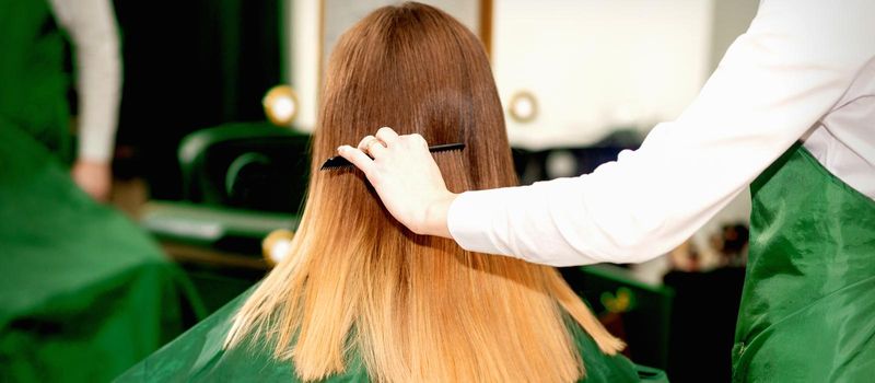 Back view of female hairdresser combing long hair of young blonde client in a beauty salon