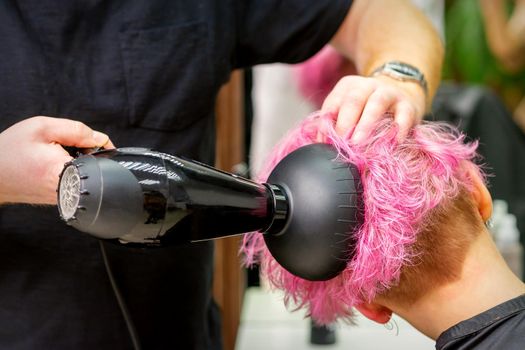 A male hairdresser professional drying stylish pink hair of the female client with a blow dryer in a beauty salon