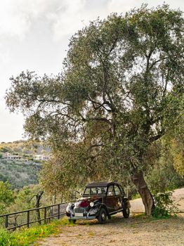 old Citroën car model "two horses" parked under an olive tree, landscape of Liguria