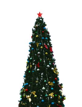 Beautiful Christmas Tree with xmas balls isolated on white background.