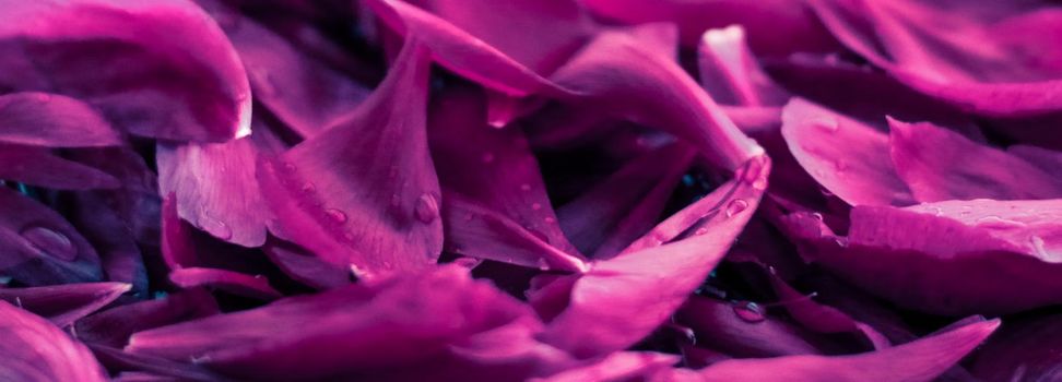 Beauty of nature, dream garden and wedding backdrop concept - Abstract floral background, purple flower petals in water