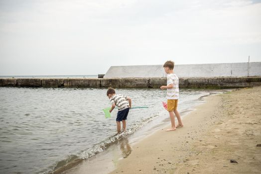 Two sibling little brother boy exploring the beach at low tide walking towards the sea coast. Friendship happy childhood concept.