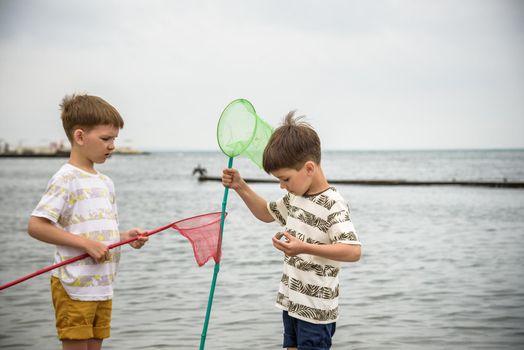 Two sibling little brother boy exploring the beach at low tide walking towards the sea coast. Friendship happy childhood concept.