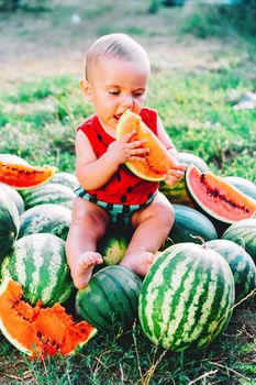 Happy little baby boy in funny costume sitting and eating slice of watermelon on field or garden. Happy Infant child smiling. Kid eat fruit outdoors