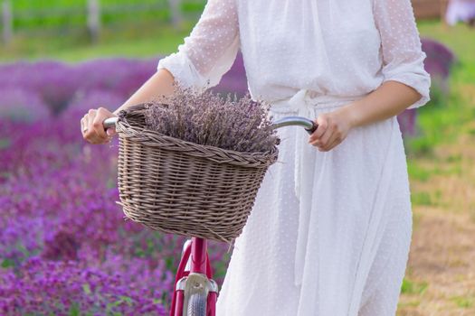 Woman in a field of lavender flowers in a white dress. Ukraine. selective focus