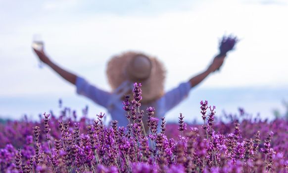 a girl in a lavender field pours wine into a glass. Relaxation. selective focus