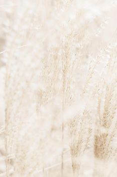 Beauty in nature, balanced lifestyle, environmental concept - Rustic autumn field