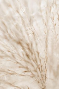 Beauty in nature, balanced lifestyle, environmental concept - Rustic autumn field