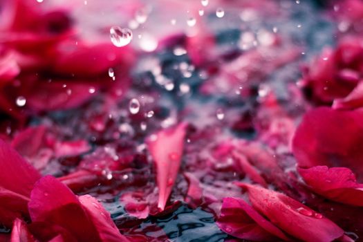 Beauty of nature, dream garden and wedding backdrop concept - Romantic abstract floral background, pink flower petals in water