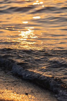 Ripple sea ocean water surface with golden sunset light. Sea waves close up