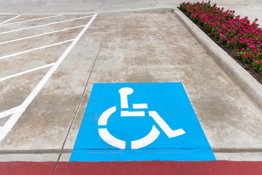 Blue sign, parking for the disabled, on the asphalt road with white road markings and flowers on the side