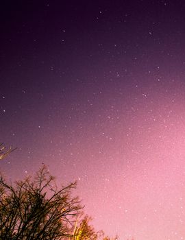 Starry night above a forest. Beautiful scenic photo in violet colors.