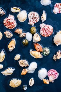 Ocean, nature texture and coastal vacation concept - Sea shell background, summertime destination and beach holiday travel card