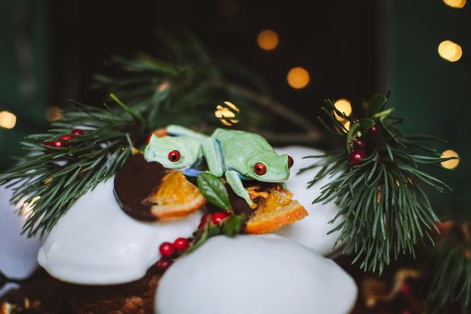 Beautiful red eyed tree frog, Agalychnis callidrias, on Christmass capcake