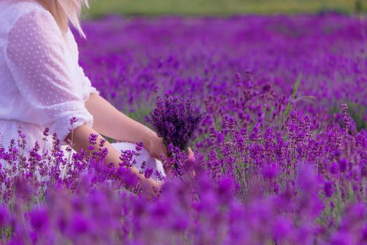 Woman in a field of lavender flowers in a white dress. Ukraine. selective focus