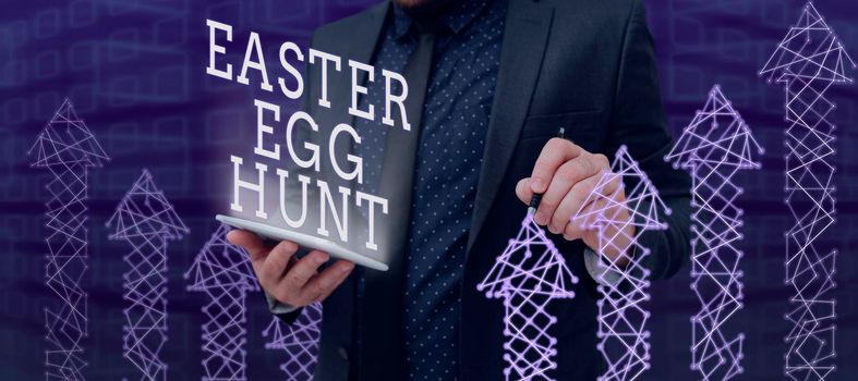 Text sign showing Easter Egg Hunt, Business approach Searching special season treats presents spring tradition