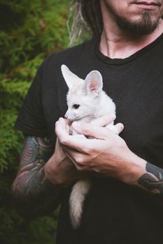 Pretty Fennec fox cub on brown backgorund with flowers