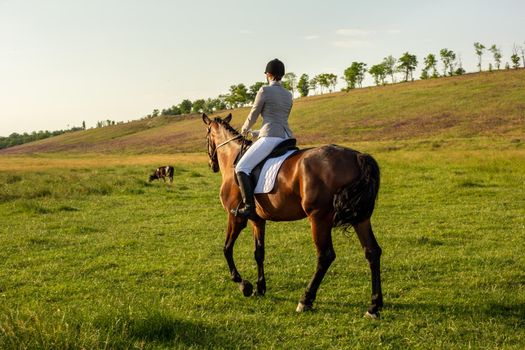 Young woman riding a horse on the green field. Horseback Riding. Competition. Hobby