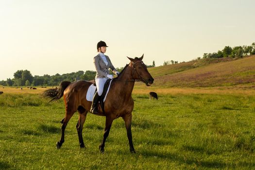 Young woman riding a horse on the green field. Horseback Riding. Competition. Hobby