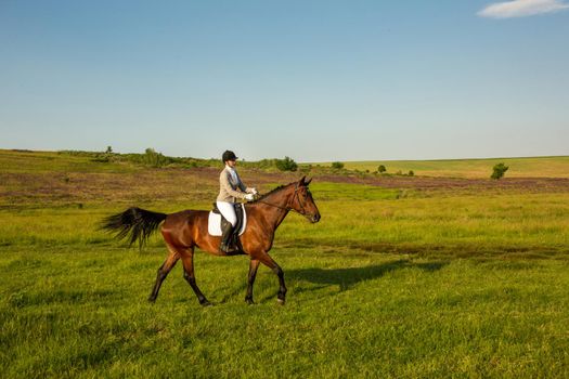 Young woman riding a horse on the green field. Horseback Riding. Competition. Hobby