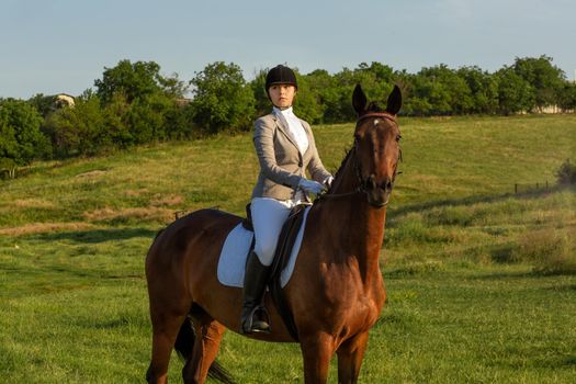 Young woman riding a horse on the green field. Horseback Riding. Competition. Hobby