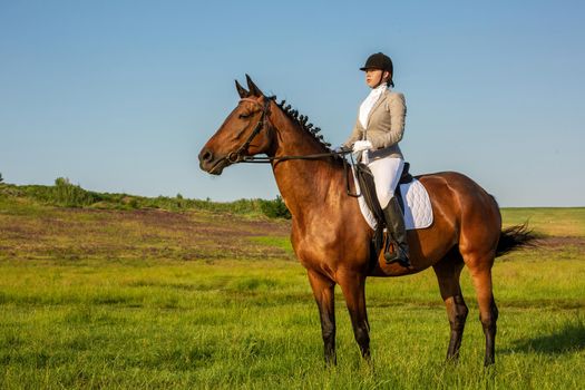 Young woman riding a horse on the green field. Horseback Riding. Competition. Hobby