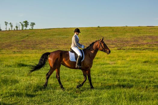 Young woman riding a horse on the green field. Horseback Riding. Competition. Hobby