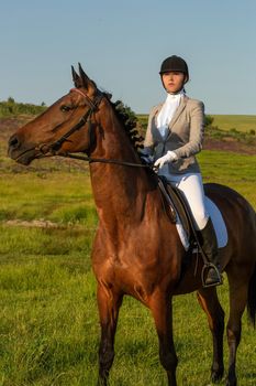 Young woman riding a horse on the green field. Horseback Riding. Competition. Hobby