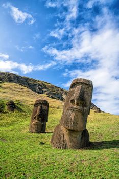 Moai statues in the Rano Raraku Volcano in Easter Island, Chile with blue sky