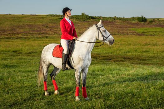 Young woman rider, wearing red redingote and white breeches, with her horse in evening sunset light. Outdoor photography in lifestyle mood