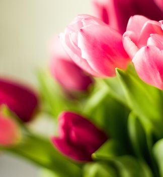 Flowers, spring holidays and home decor concept - Bouquet of beautiful tulips, floral background