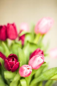 Flowers, spring holidays and home decor concept - Bouquet of beautiful tulips, floral background