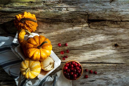 Still life, top view, flat lay. Autumn vegetables and berries - pumpkin, cranberries on rustic napkin. Banner with wooden old background with copy space. Sunbeams, autumn day. Raw food from the farmer