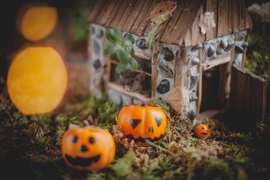 Pretty domestic mice on Haloween costume party with pupmpkins