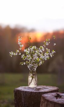Spring cherry bouquet in a glass vase outdoors
