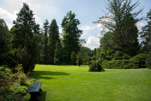 big landscape garden with big grass field and trees with bench to rest