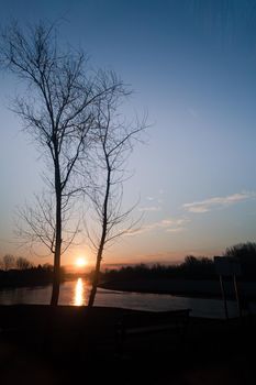 Siluette of a two trees with sun in background. Sunrise with yellow and blue sky. Land is siluette. Location is river Drava, Croatia.