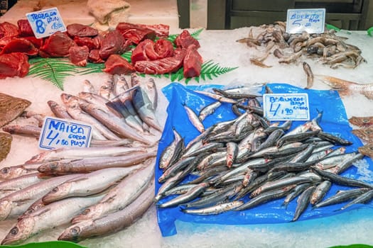 Fresh fish for sale at a market in Spain