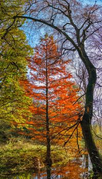 Sofievsky arboretum or Sofiyivsky Park in Uman, on a sunny autumn day