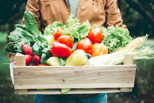 Farmer holding Wooden box filled fresh vegetables